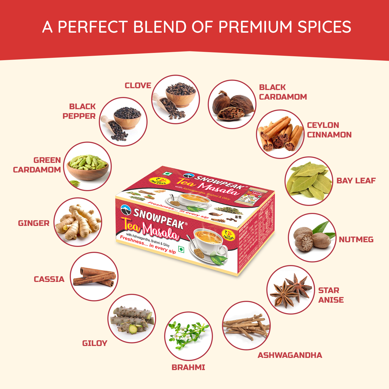 Snowpeak Chai Masala – Aromatic Tea Masala Powder with 100% Natural Spices | 3 × 50g Packs (Each Pack Contains 50 × 1g Pouches)