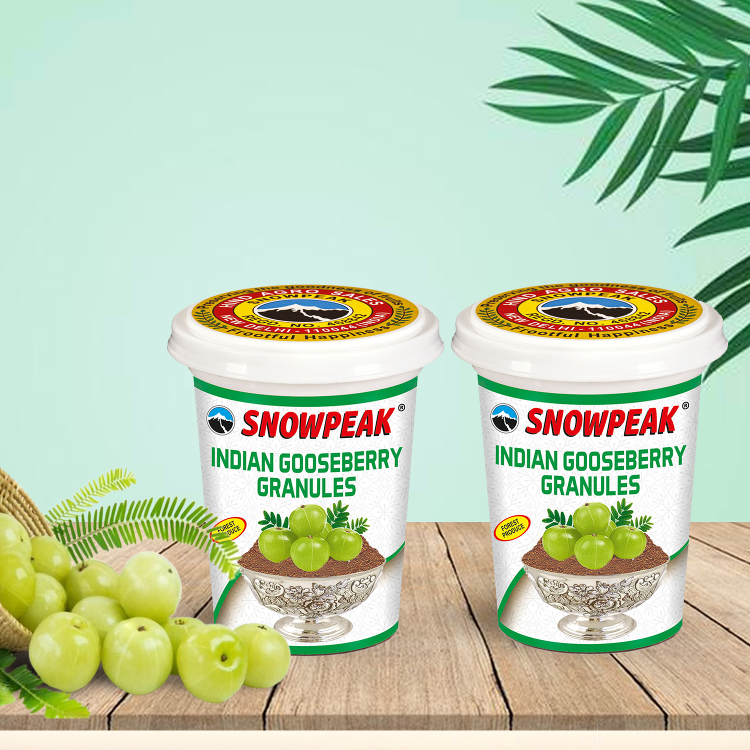 Snowpeak Combo of Amla Granules (2 X 100g)